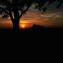 Sinamatella Camp - Hwange