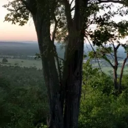 Sinamatella Camp - Hwange