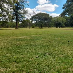 Kwekwe Golf Club - Kwekwe