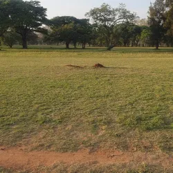 Kwekwe Golf Club - Kwekwe