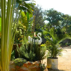 Zimunya Hills - Kwekwe