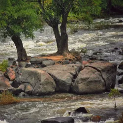Macheke River - Marondera