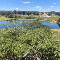 Marondera Agricultural Showgrounds - Marondera