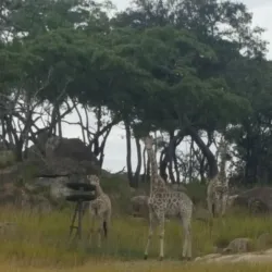 Marondera Museum - Marondera