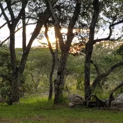 Marondera Museum - Marondera