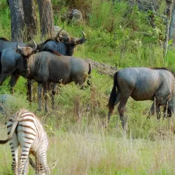 Marondera Museum - Marondera