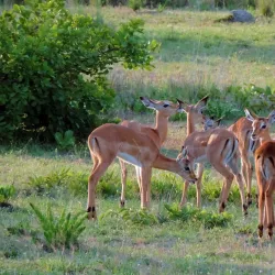 Marondera Museum - Marondera