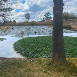 Mukuvisi River - Norton