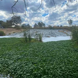 Mukuvisi River - Norton