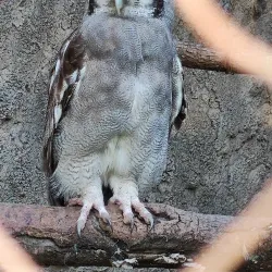 Wildlife Viewing in Mashonaland West - Norton