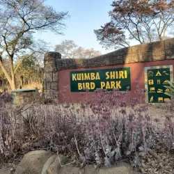 Wildlife Viewing in Mashonaland West - Norton