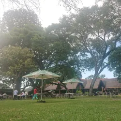 Wildlife Viewing in Mashonaland West - Norton