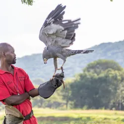Wildlife Viewing in Mashonaland West - Norton