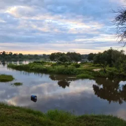 Zambezi River - Norton