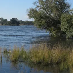 Zambezi River - Norton