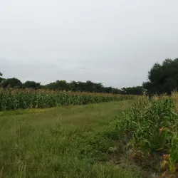 Domboshava Caves - Ruwa