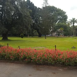 Harare Gardens - Ruwa
