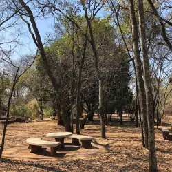 Mukuvisi Woodlands - Ruwa