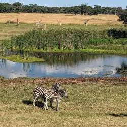 Mukuvisi Woodlands - Ruwa